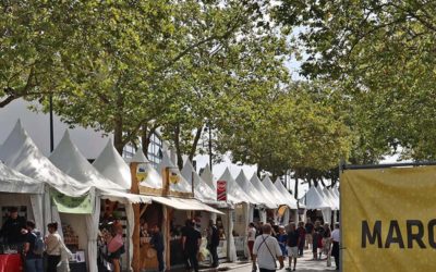 2024 : ouverture des candidatures exposants